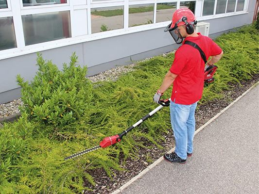 When trimming hedges, shrubs or bushes: